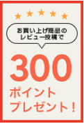 ルミナスレビュー300ポイントプレゼント